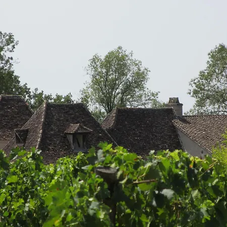 Domaine De Fumel Le Chai Holiday home *